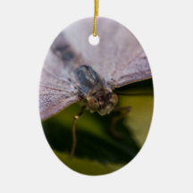 Nice to Meet You Christmas Tree Ornament
