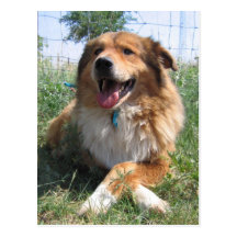 Nicholas Post Card