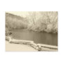 Nichols Arboretum Postcard