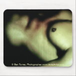 Nick's Torso: www.AriesArtist.com mousepads