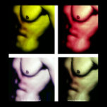 Nick's Torso: www.AriesArtist.com posters