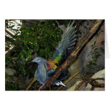 Nicobar Pigeon Wave Greeting Cards