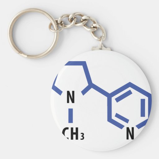 nicotine smoking key chains