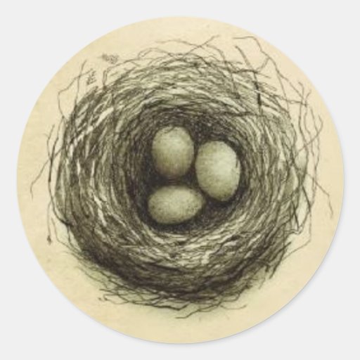 Nid décousu d'oiseau autocollant