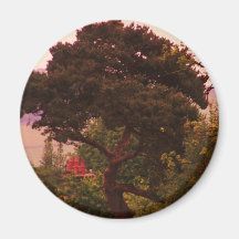 Nidderdale Tree acessories Fridge Magnet