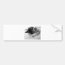 niedlich Katze schläft auf dem Bett süß Autosticker