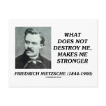 Nietzsche What Does Not Destroy Me Makes Stronger