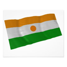 niger custom invite