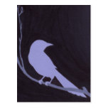 Night Bird Post Cards