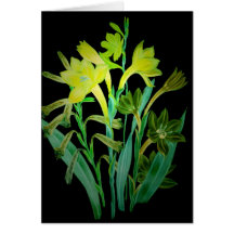 Night Bllooms Greeting Card