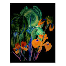 Night Blooms Series Post Card