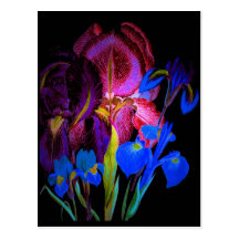 Night Blooms Series Post Card