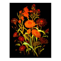 Night Blooms Series Postcard