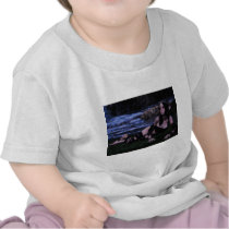 Night By the Waterfall Tees