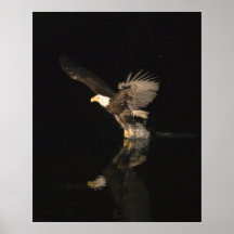 NIGHT EAGLE PRINT