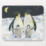Night in the Antarctic