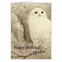 Night Owl Birthday Greeting Cards
