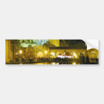 Night Ponds Water Balboa Park Bumper Sticker