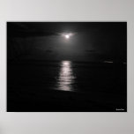 Night Sea Posters
