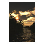 Night Skies Stationery Paper