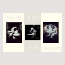 Night Tigers Poster (22.5 in. x 15 in.) posters