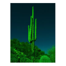Night Vision Cactus Postcards