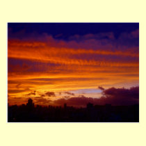 Nightfall over the City postcards