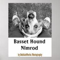 Nimrod with Feet Poster
