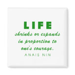 Nin on Courage Magnet