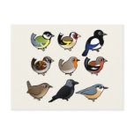 Nine cute Birdorable birds from Europe Postcard