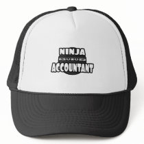 Ninja Accountant
