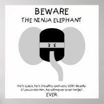 Ninja Elephant!