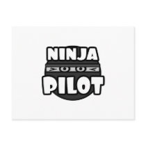 Ninja Pilot