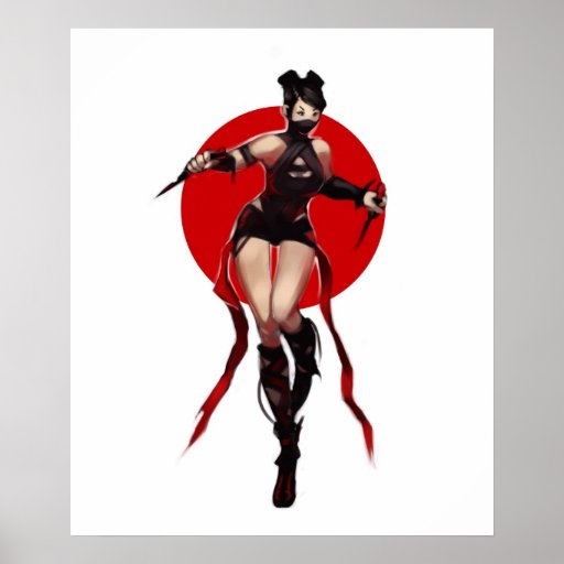 Ninja Posters