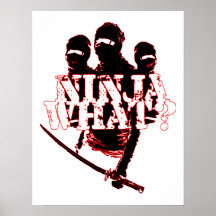NINJA WHAT? POSTER