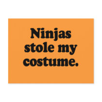 Ninjas stole my costume