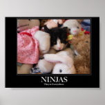 Ninjas - They is everywhere posters
