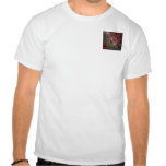 Nirvana t-shirts