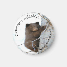 NLWS Dawson Magnet