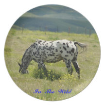 No # 13, Dinner Plate, In the Wild - Spotted Horse