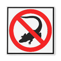 No Alligators Highway Sign Refrigerator Magnet