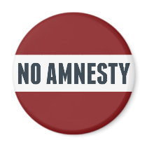 No Amnesty Magnet