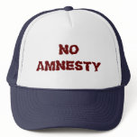 NO AMNESTY - NO JOBS - NO INCENTIVES