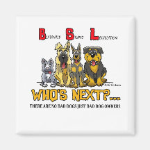 No B.S.L (Blatantly Stupid Legislation) Magnet