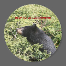 NO  BLACK BEAR HUNTING magnets