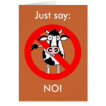 No bull.... allowed!, NO!, Just say: