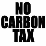 No Carbon Tax photo sculptures