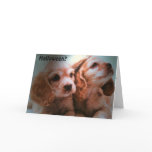 NO COSTUME NEEDED=HALLOWEEN GREETING CARD