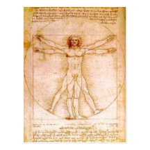 No higher resolution available. Anatomia_homem_leo Postcard