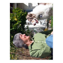 No higher resolution available. Donna_Haraway_and_ Postcards